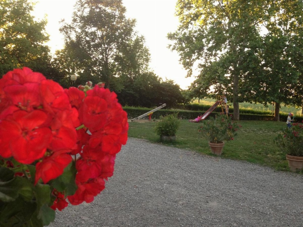 Agriturismo La Cavaliera Image 12
